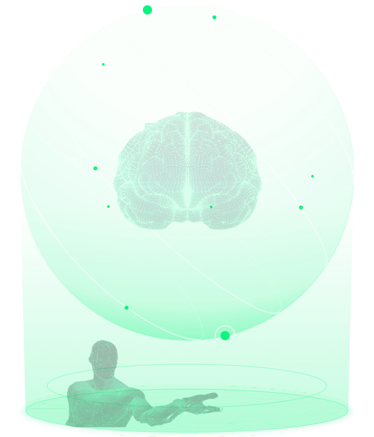cerveau
